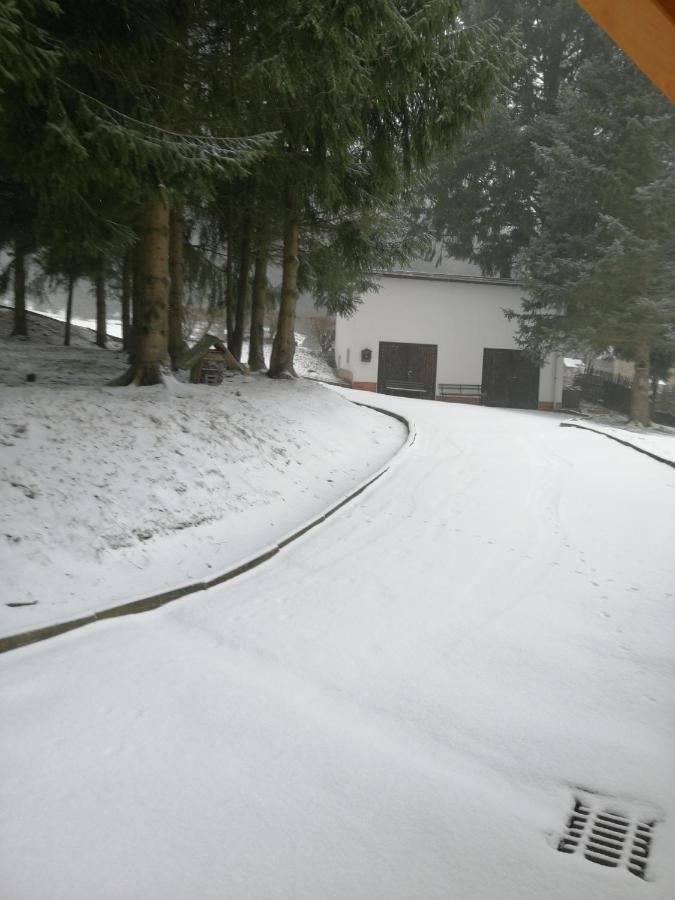 Landhaus Am Fritzschberg Breitenbrunn/Erzgeb. Extérieur photo